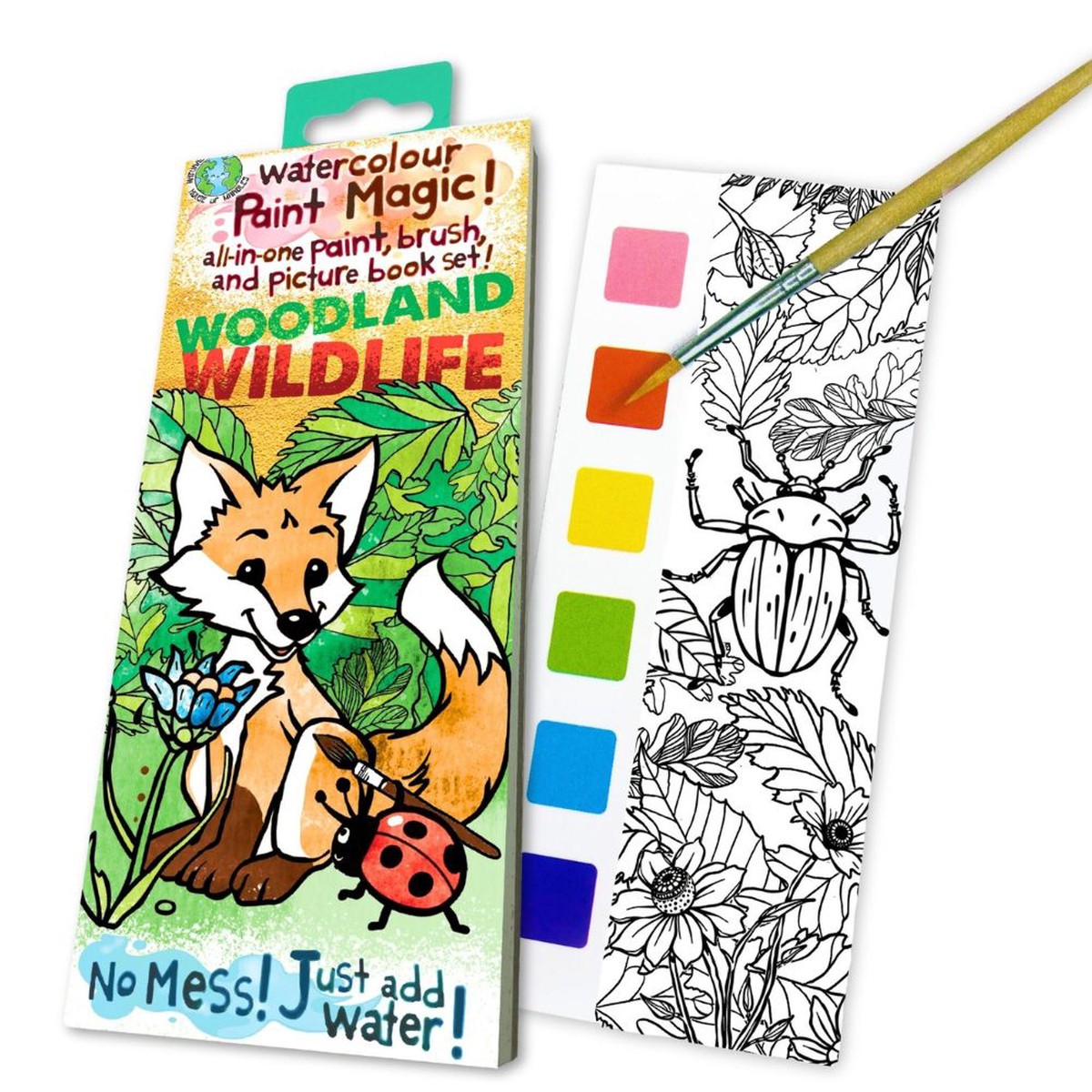 House Of Marbles Paint Magic - Woodland Wildlife