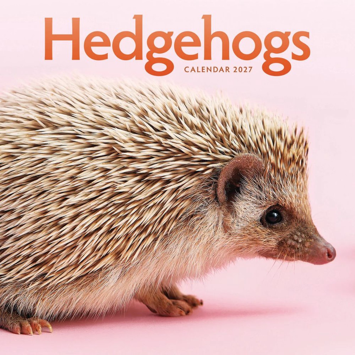 Otter House Hedgehogs Wall Calendar 2027