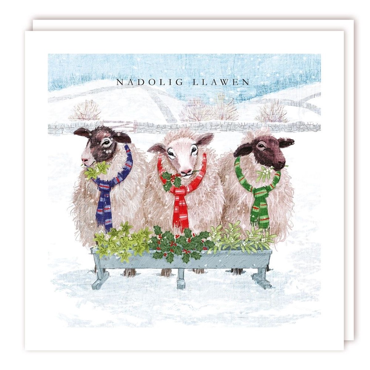 Tracks Publishing Sheep with Holly Welsh Christmas Cards - (Pack of 10)