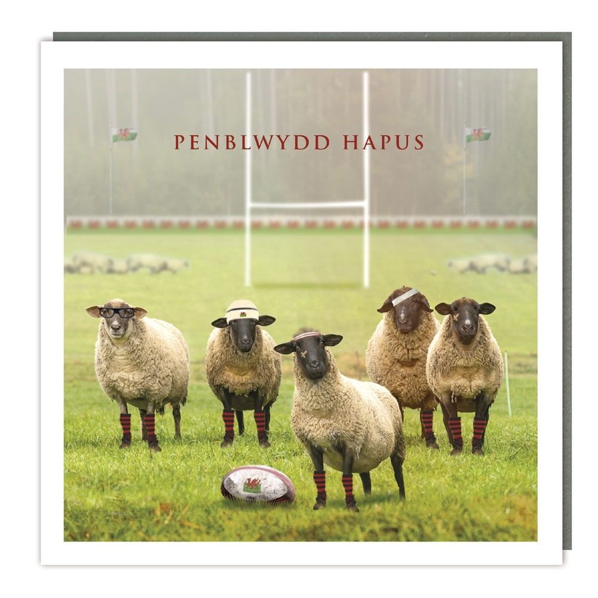 Tracks Publishing Rugby Sheep Welsh Birthday Card