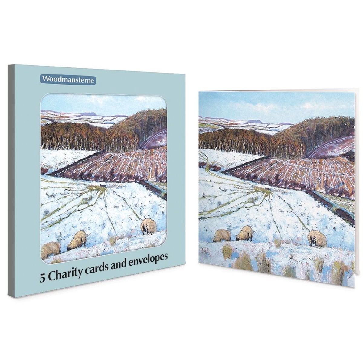 Woodmansterne Sheep in Snowy Field Boxed Christmas Cards - Pack of 5