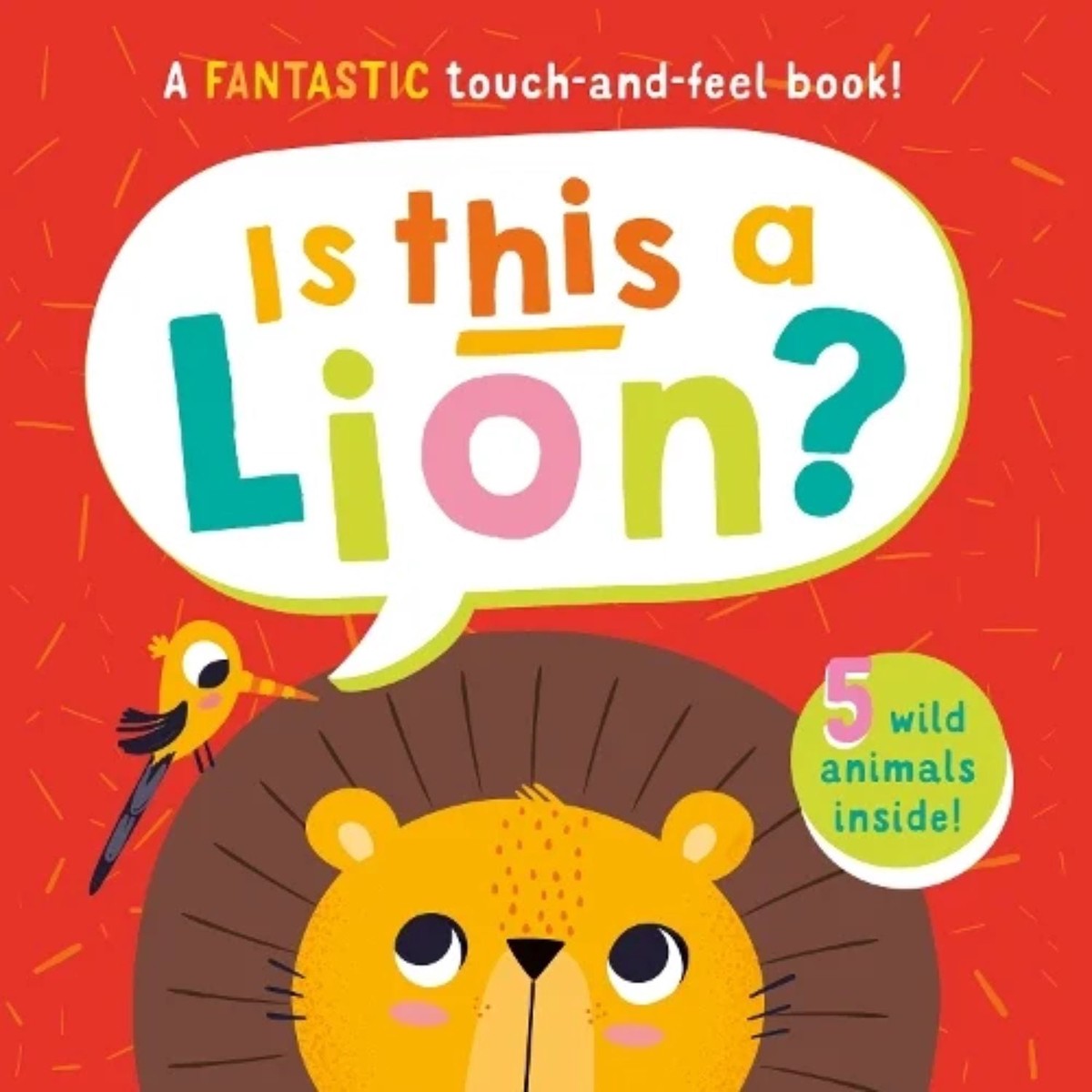 Is This A Lion? Touch & Feel Book