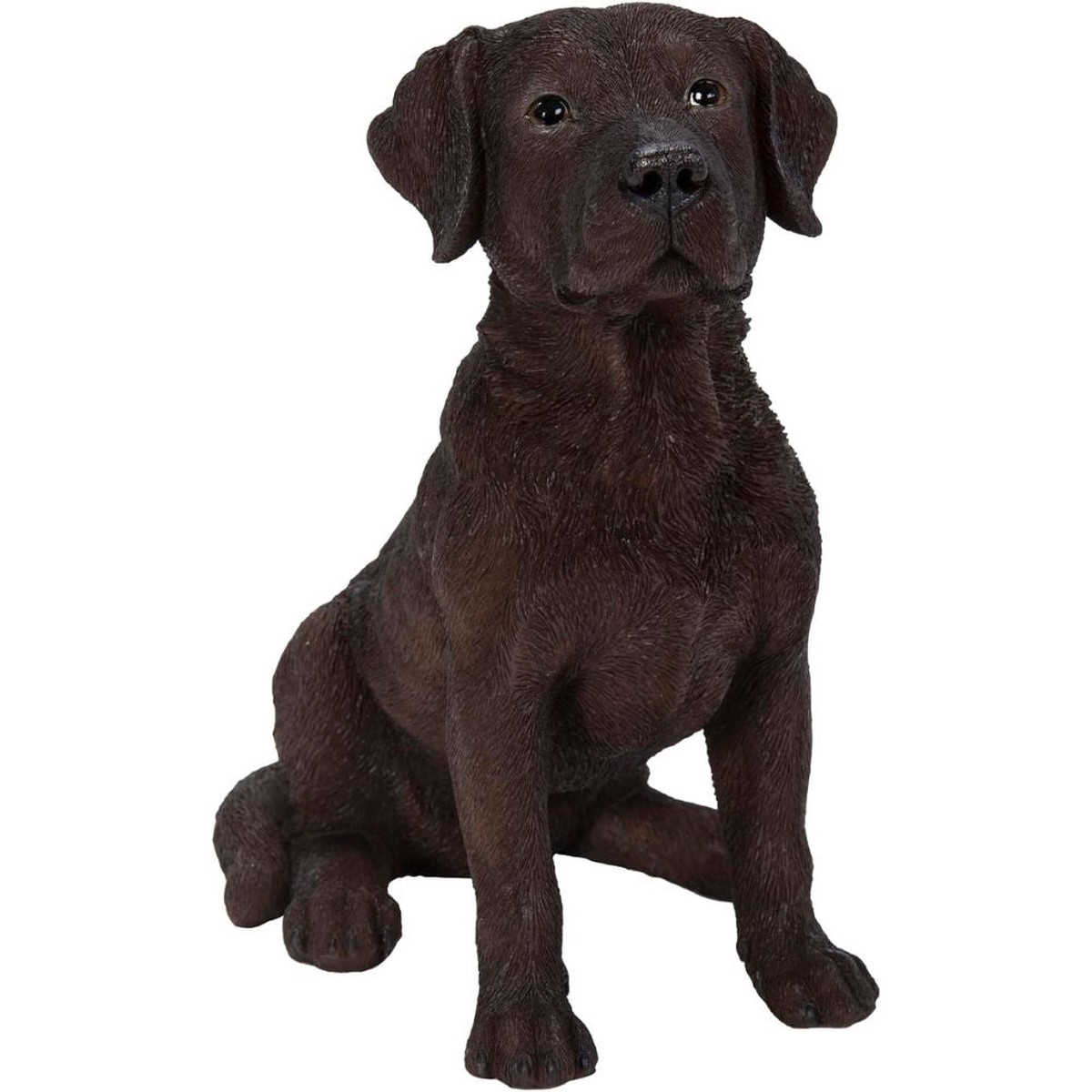 Vivid Arts 19cm Real Life Chocolate Labrador Dog Garden Ornament