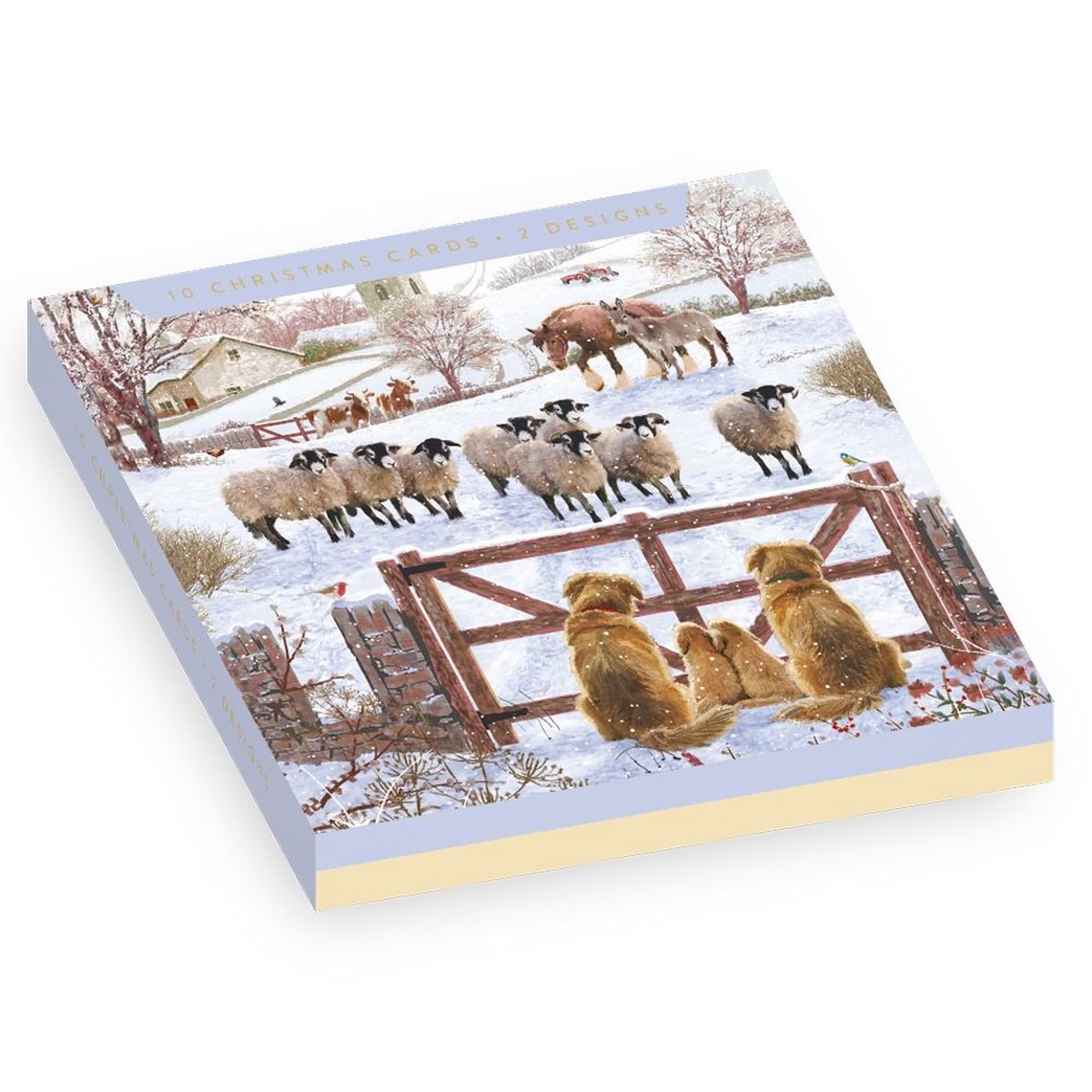 Woodmansterne Dogs & Sheep Boxed Christmas Cards – Pack of 10