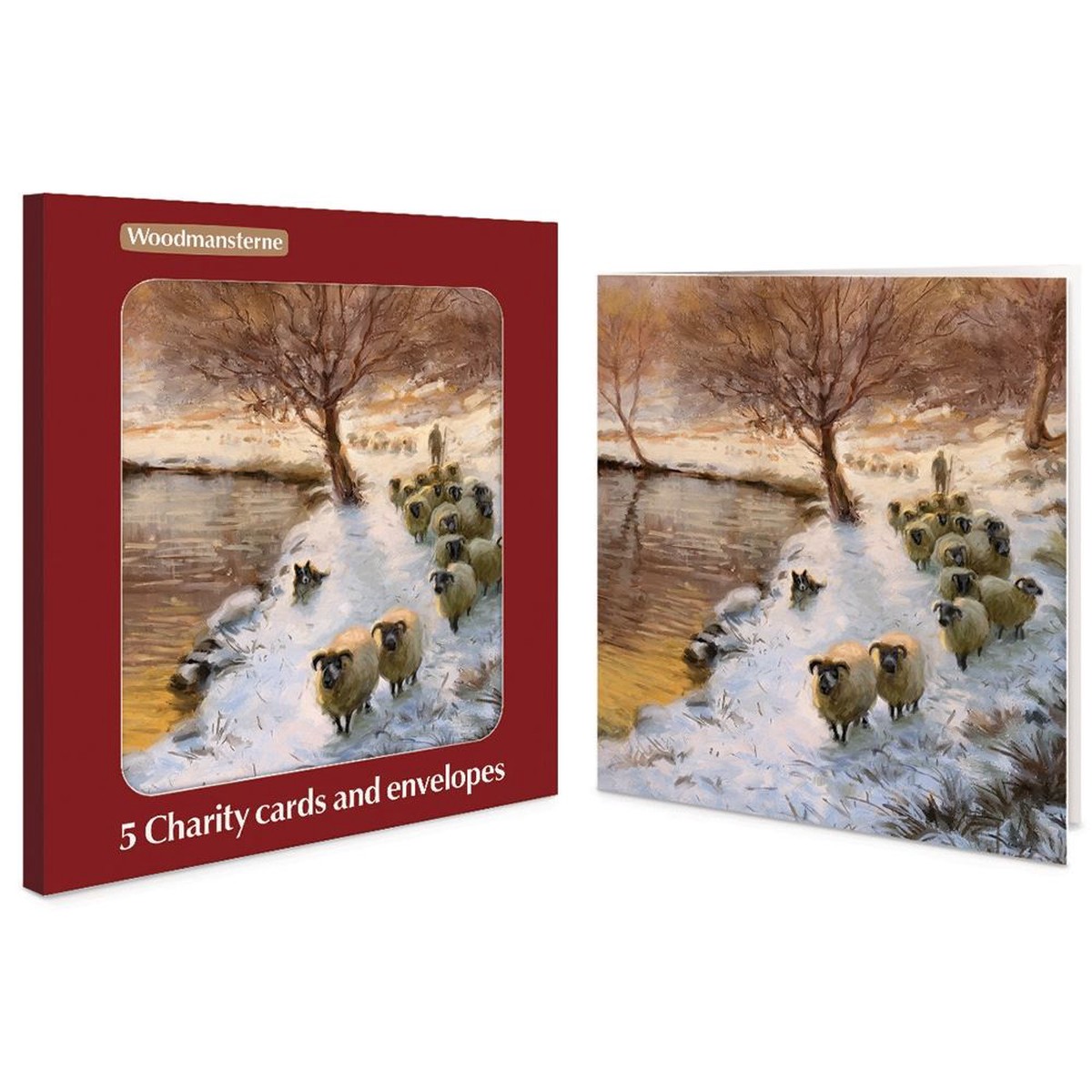 Woodmansterne Sheep in the Sunset Charity Boxed Christmas Cards – Pack of 5