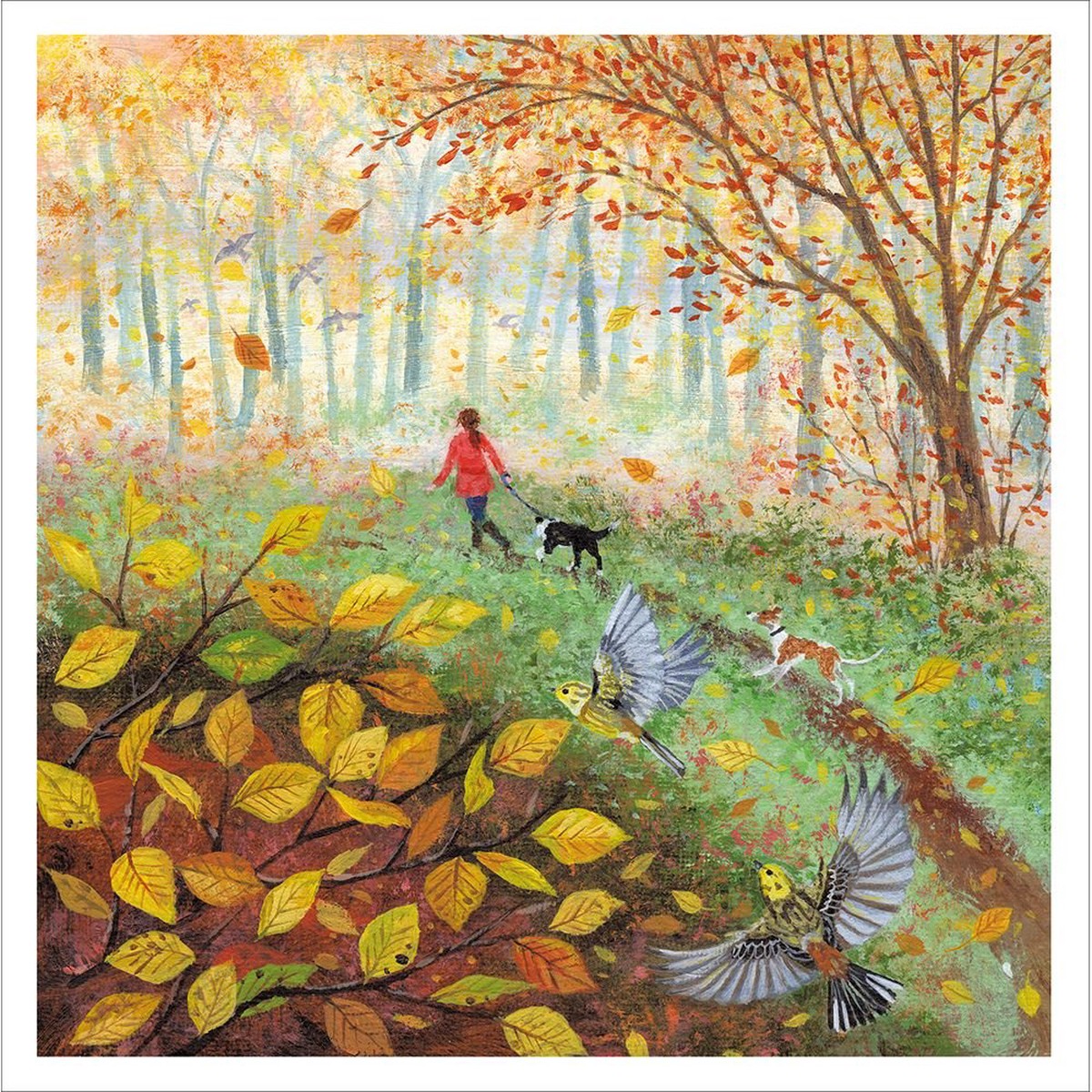 Woodmansterne Walk in the Woods Blank Card