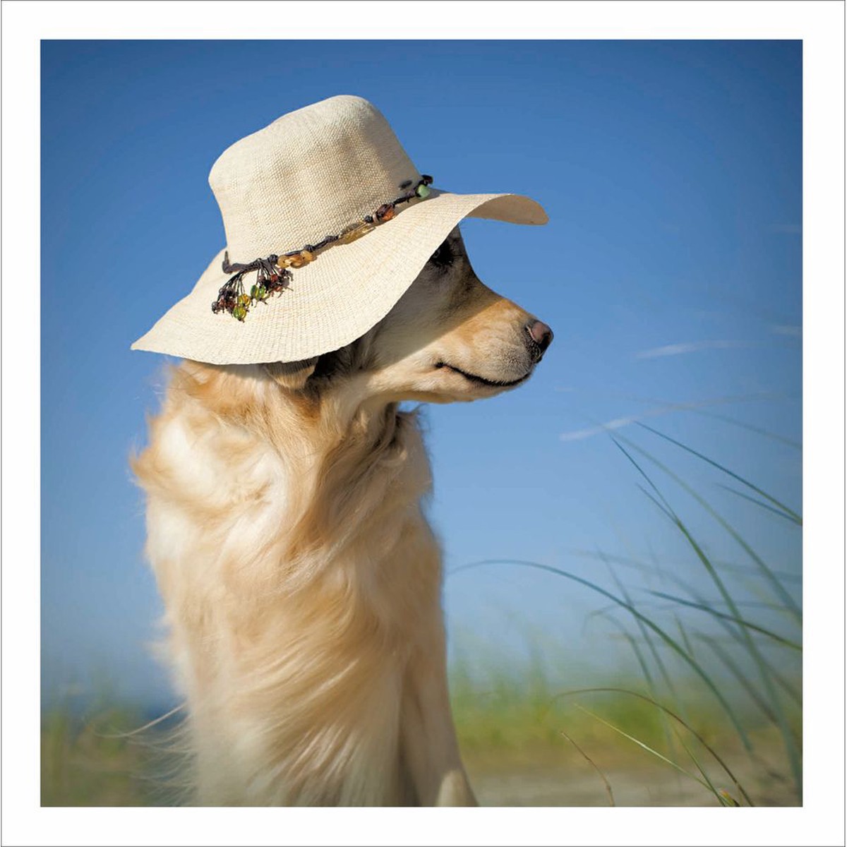Woodmansterne Sun Hat Beach Dog Blank Card