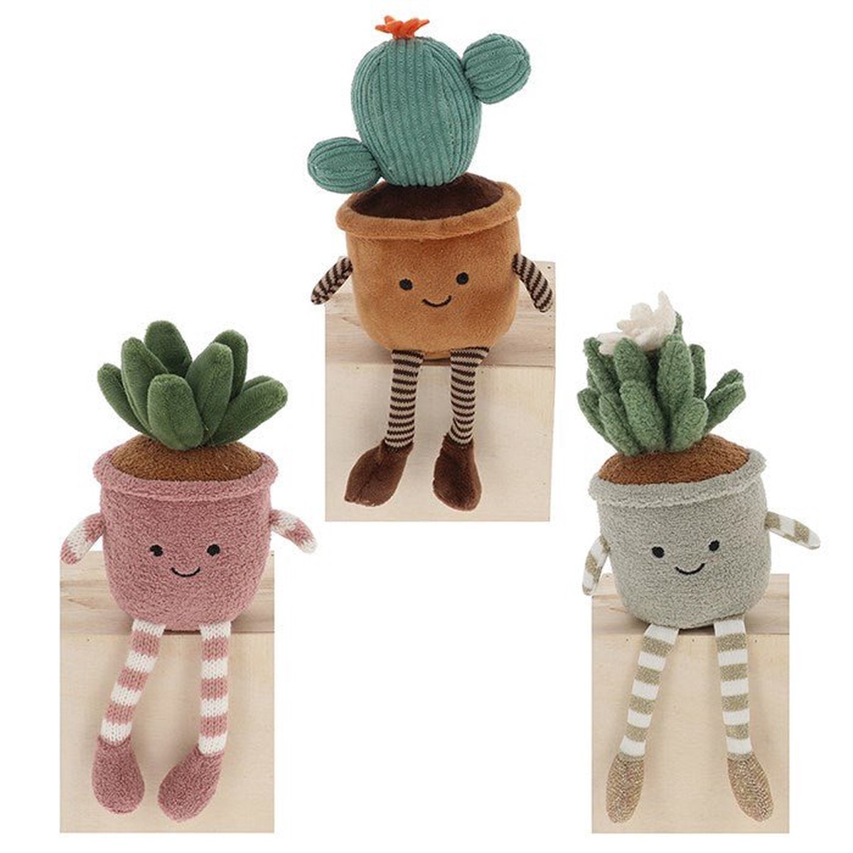 Shudehill 15cm Succulents Pot Plant Pals (Choice of 3)